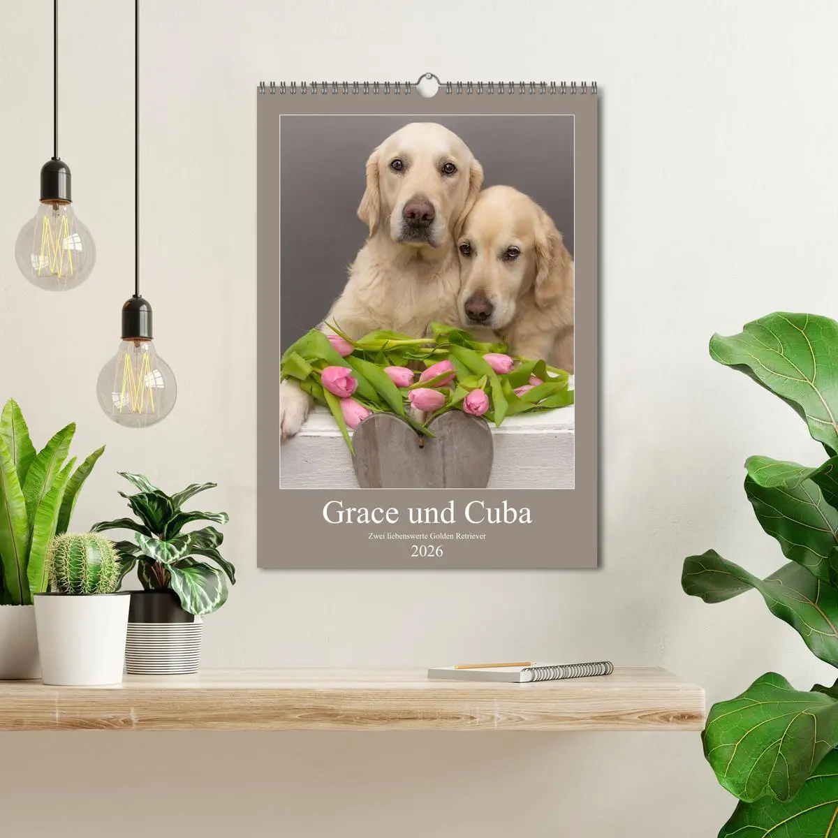 Bild: 9783516379396 | Grace und Cuba - Zwei liebenswerte Golden Retriever (Wandkalender...