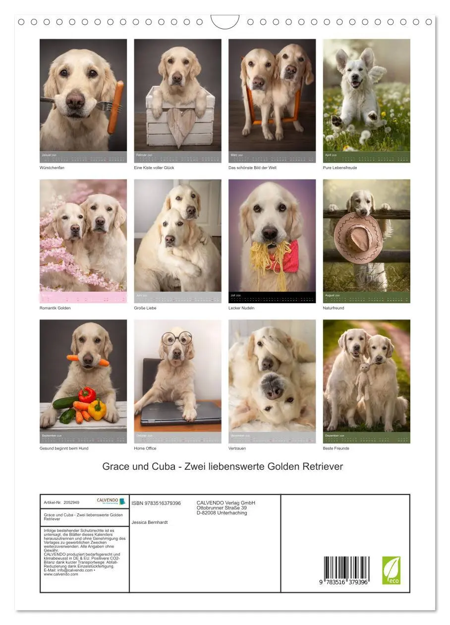 Bild: 9783516379396 | Grace und Cuba - Zwei liebenswerte Golden Retriever (Wandkalender...