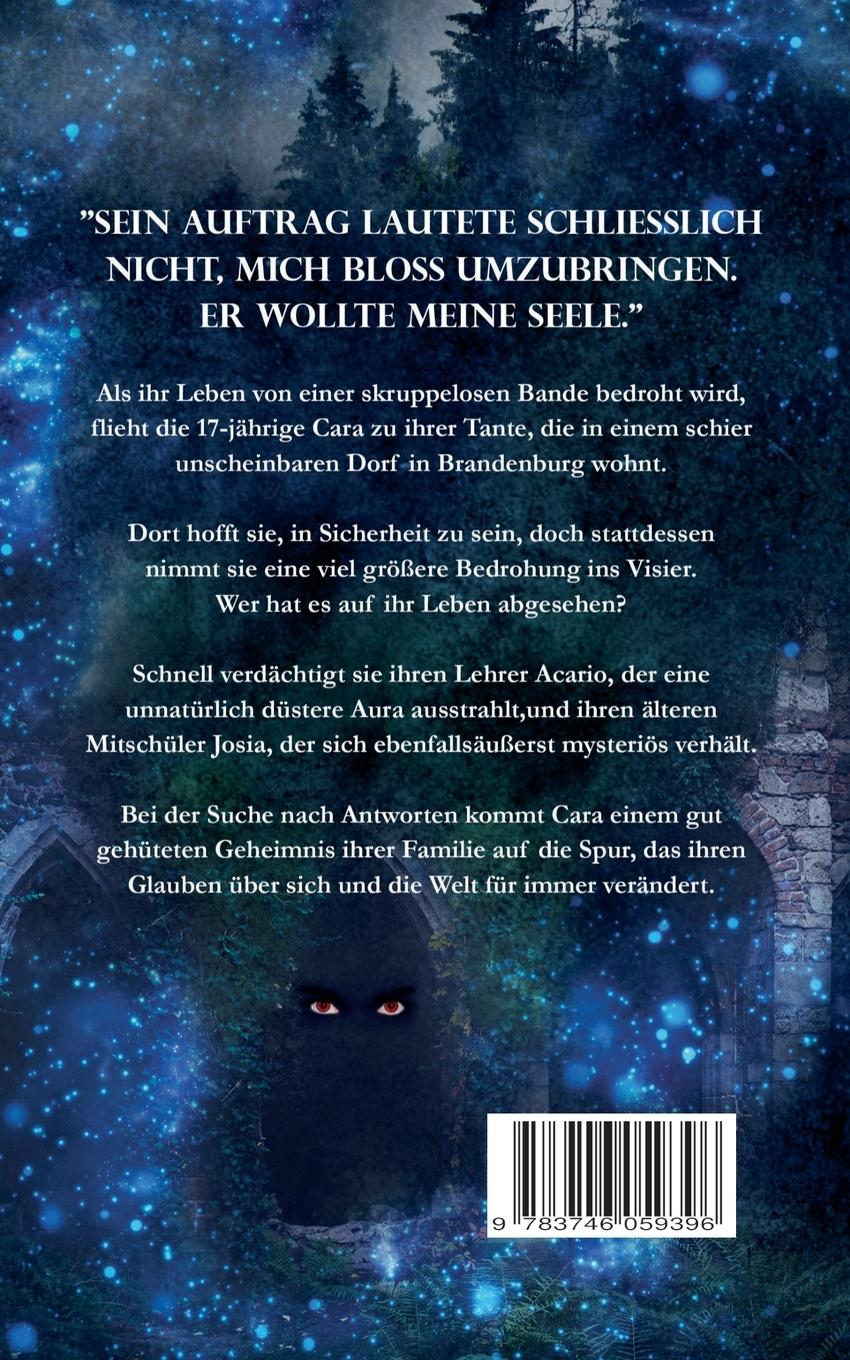 Rückseite: 9783746059396 | Seelen des Lichts | Mein Fluch ist dein Segen | Sandra S. Wall | Buch