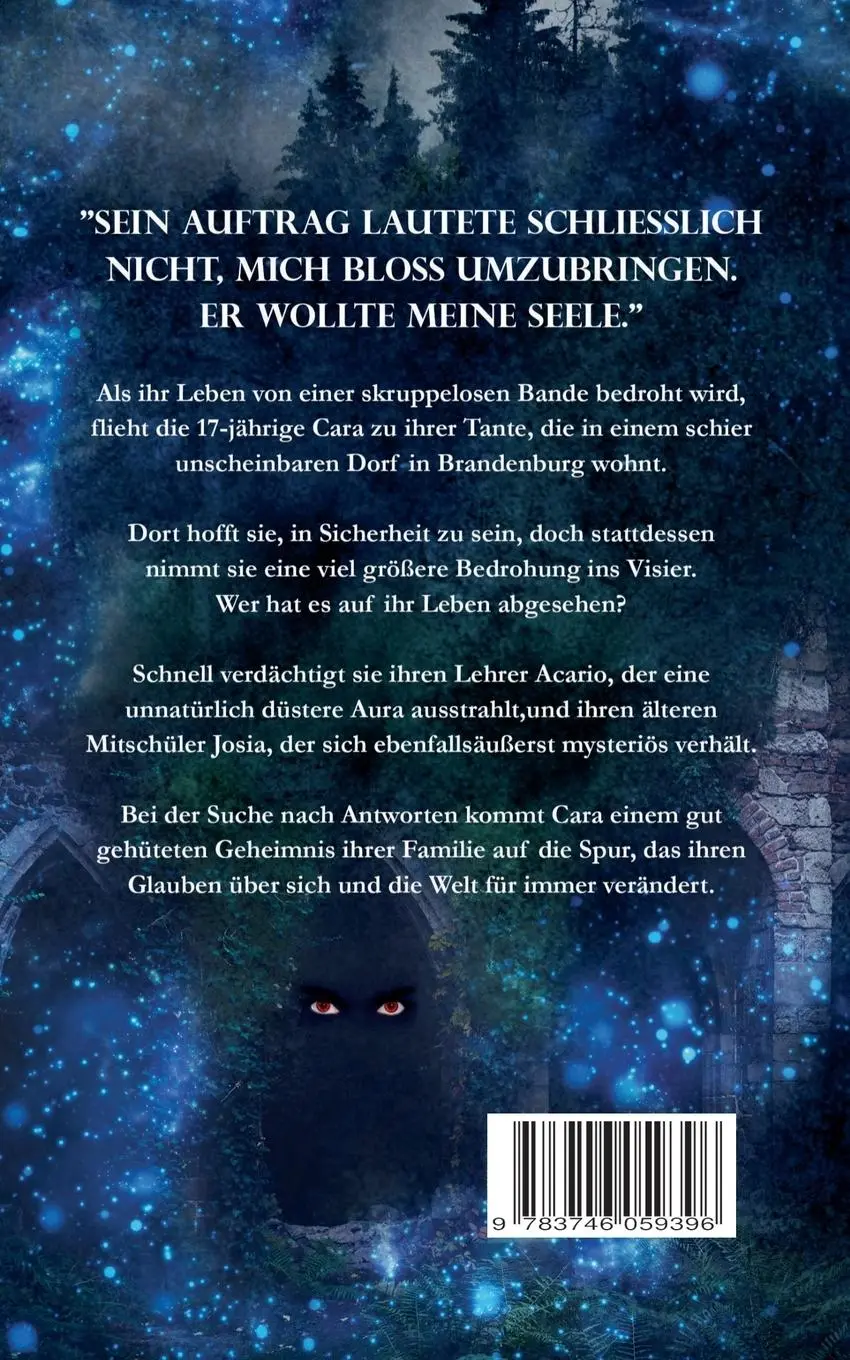 Rückseite: 9783746059396 | Seelen des Lichts | Mein Fluch ist dein Segen | Sandra S. Wall | Buch