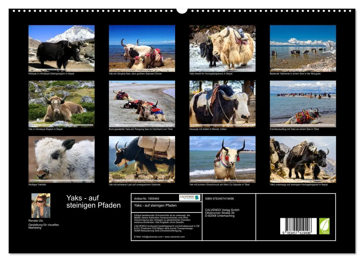 Bild: 9783457419496 | Yaks - auf steinigen Pfaden (hochwertiger Premium Wandkalender 2026...