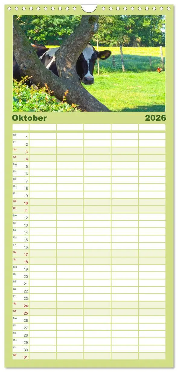 Bild: 9783516509496 | Familienplaner 2026 - Die Kuh macht Muuuh! mit 5 Spalten...