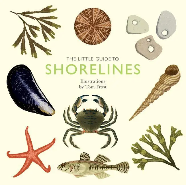 Cover: 9781787139596 | The Little Guide to Shorelines | Alison Davies | Buch | Gebunden