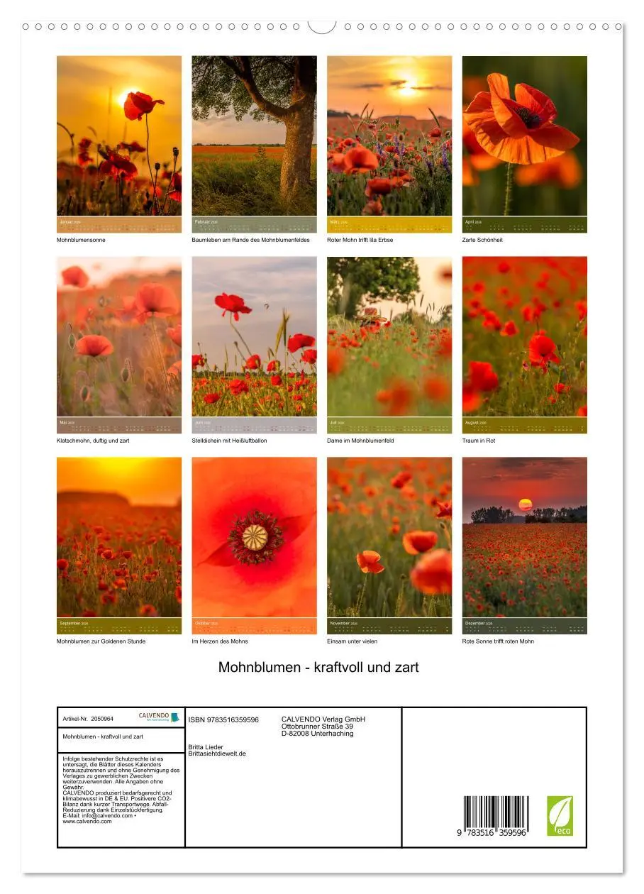 Bild: 9783516359596 | Mohnblumen - kraftvoll und zart (hochwertiger Premium Wandkalender...