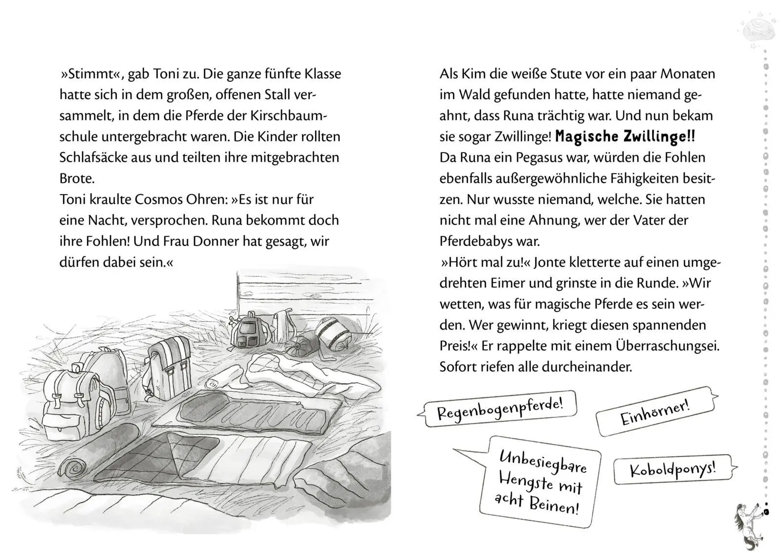 Bild: 9783522509596 | Die Schule der Herzenspferde 3: Zorro &amp; Elin | Judith Weber | Buch