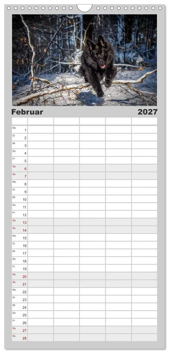 Bild: 9783594339596 | Familienplaner 2027 - Schwarz ist schön! Der lackschwarze...