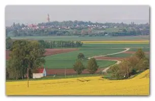 Bild: 9783800319596 | Jakobswege durch Deutschland und die Schweiz | Annette Mahro | Buch