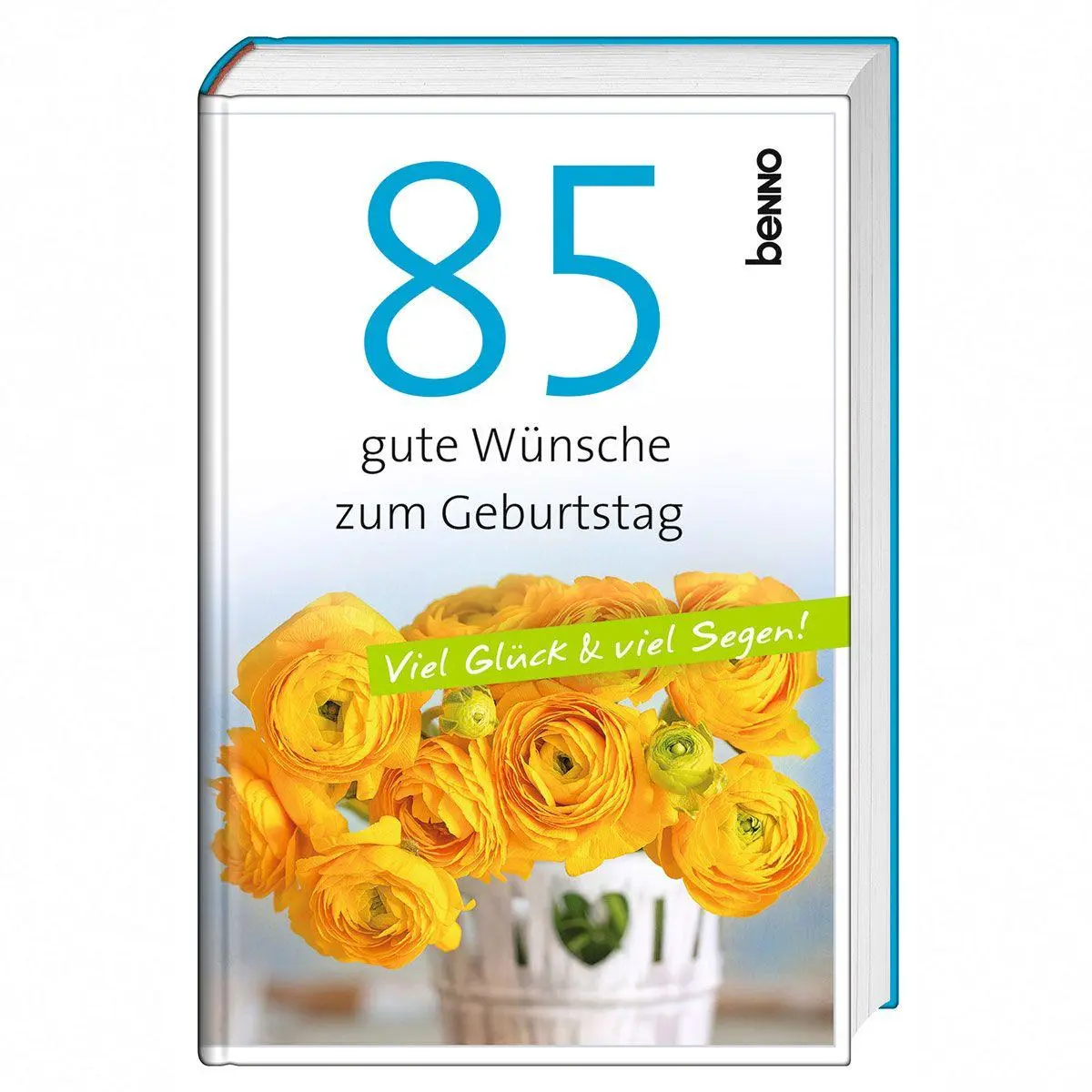 Cover: 9783746269696 | 85 gute Wünsche zum Geburtstag | Viel Glück &amp; viel Segen! | Buch