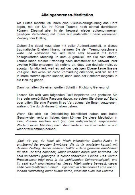 Bild: 9783943729696 | Alleingeborener Zwilling | Michelle Haintz | Taschenbuch | 348 S.