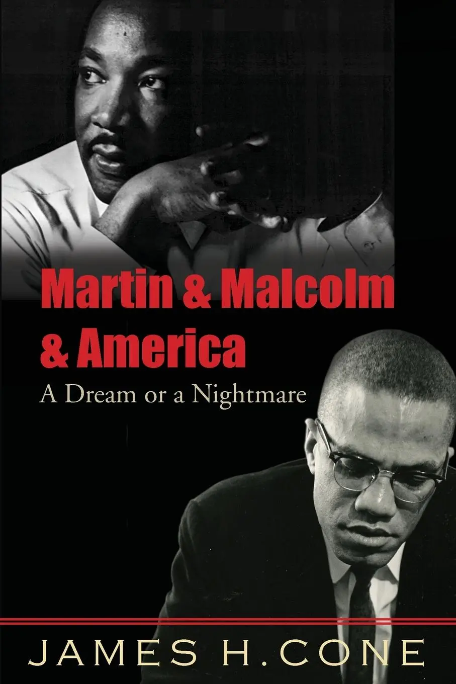 Cover: 9781570759796 | Martin &amp; Malcolm &amp; America: A Dream or a Nightmare | James Cone | Buch