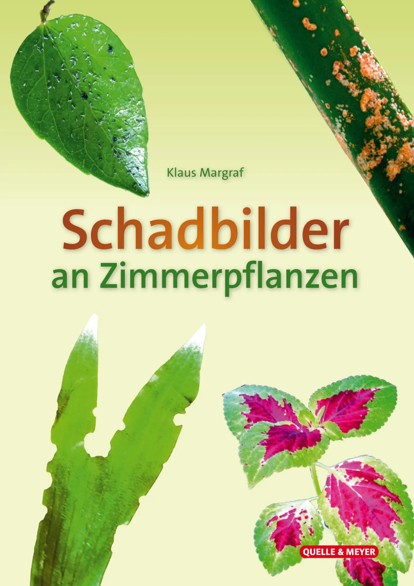 Cover: 9783494019796 | Schadbilder an Zimmerpflanzen | Klaus Margraf | Buch | 10 S. | Deutsch