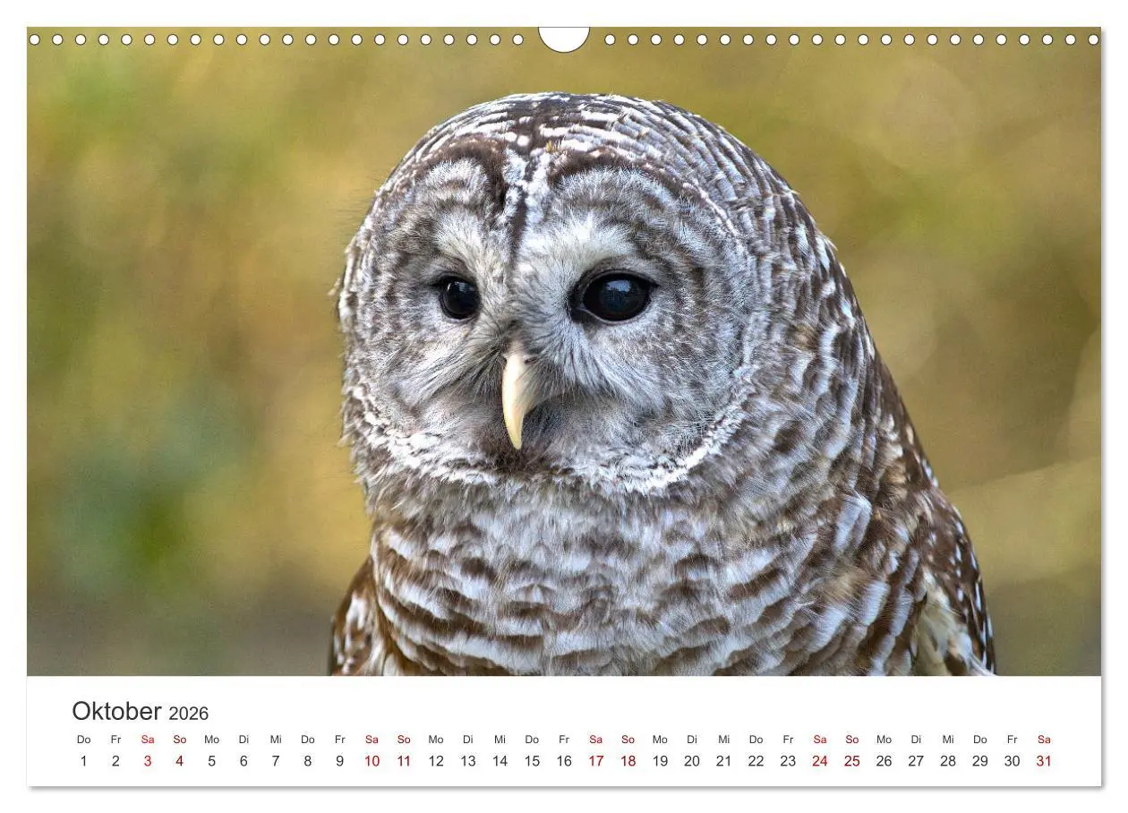 Bild: 9783457549896 | British Columbia - Faszination Kanada (Wandkalender 2026 DIN A3...