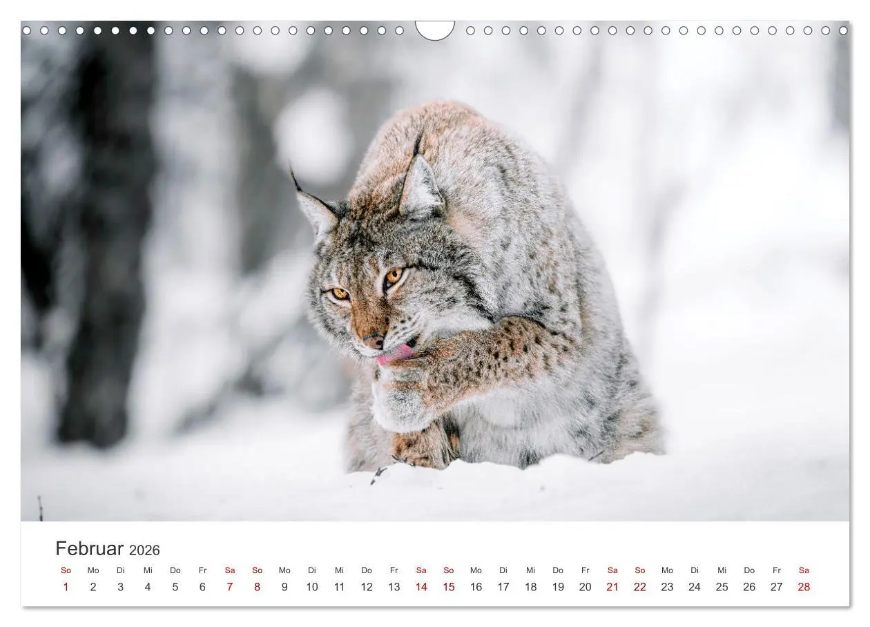 Bild: 9783457549896 | British Columbia - Faszination Kanada (Wandkalender 2026 DIN A3...