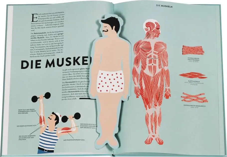 Bild: 9783836959896 | Anatomie | Das faszinierende Innenleben des Menschen | Druvert (u. a.)