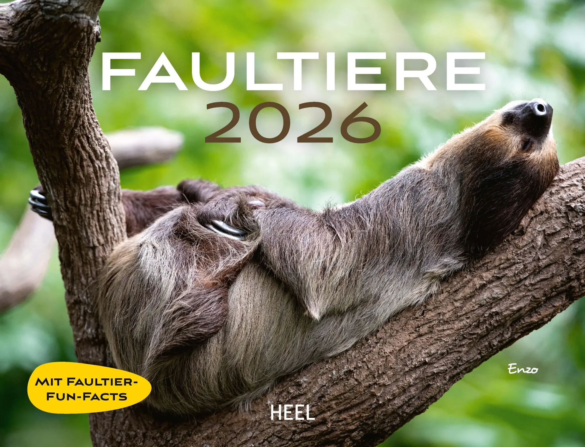 Cover: 9783966649896 | Faultiere Kalender 2026 Wandkalender | Kalender | Spiralbindung | 2026