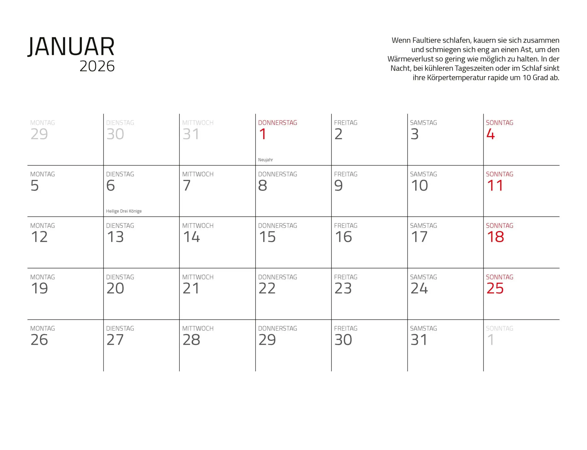 Bild: 9783966649896 | Faultiere Kalender 2026 Wandkalender | Kalender | Spiralbindung | 2026