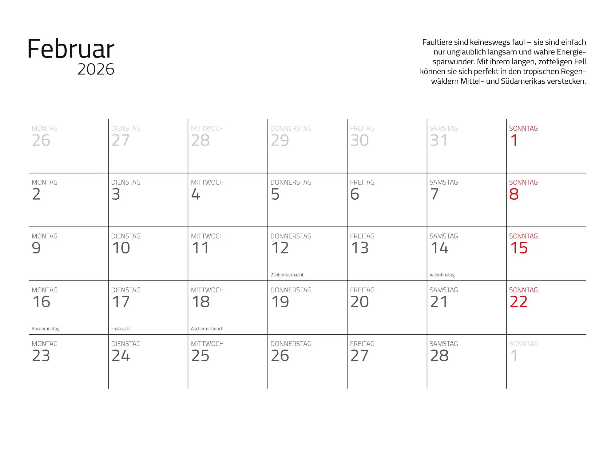 Bild: 9783966649896 | Faultiere Kalender 2026 Wandkalender | Kalender | Spiralbindung | 2026