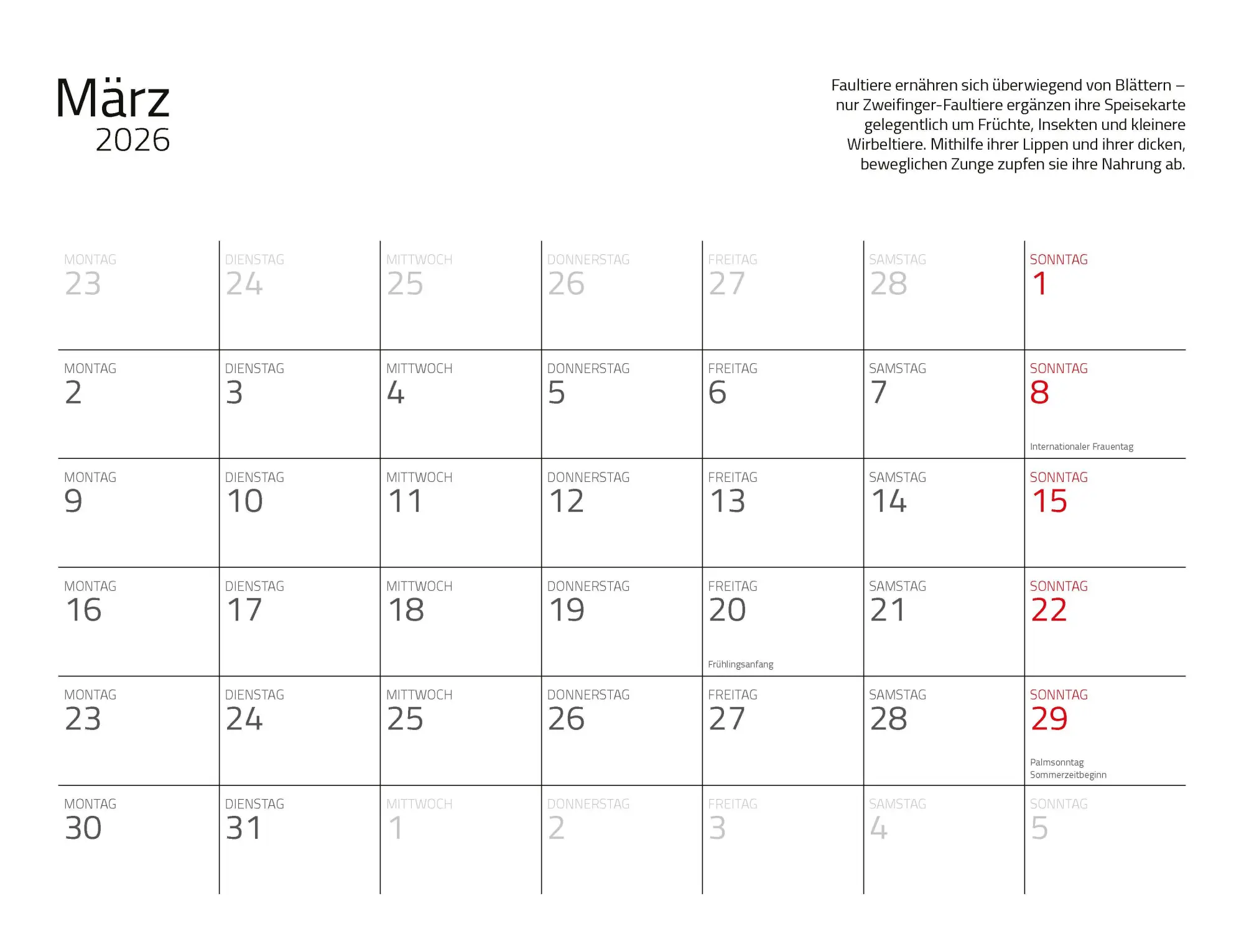 Bild: 9783966649896 | Faultiere Kalender 2026 Wandkalender | Kalender | Spiralbindung | 2026