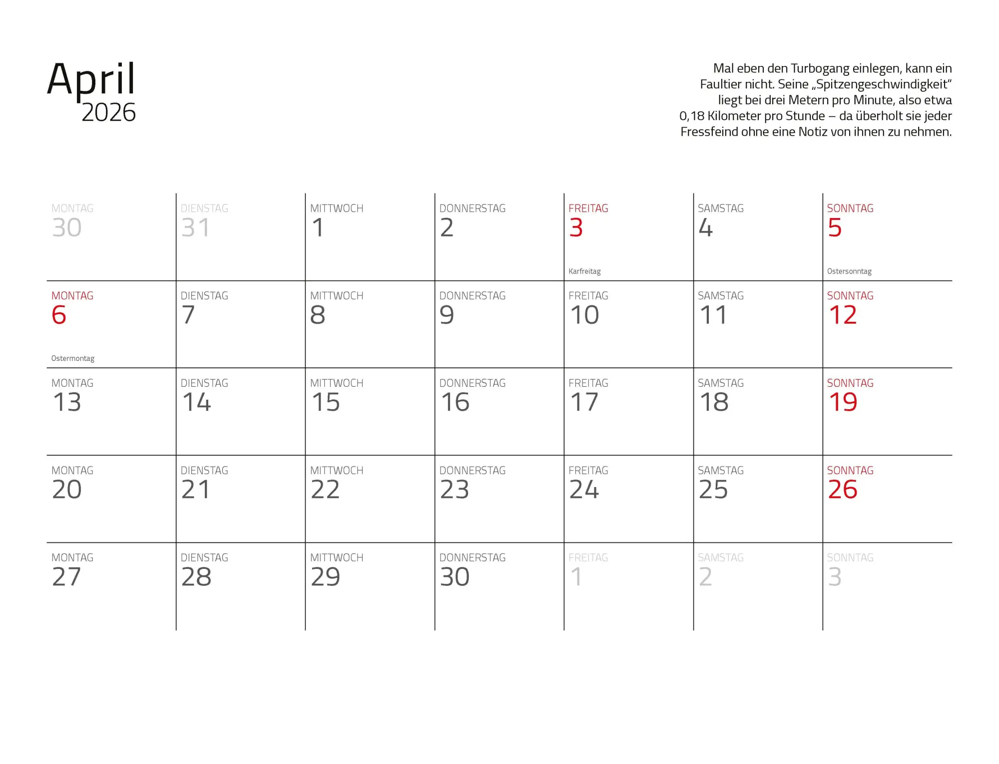 Bild: 9783966649896 | Faultiere Kalender 2026 Wandkalender | Kalender | Spiralbindung | 2026