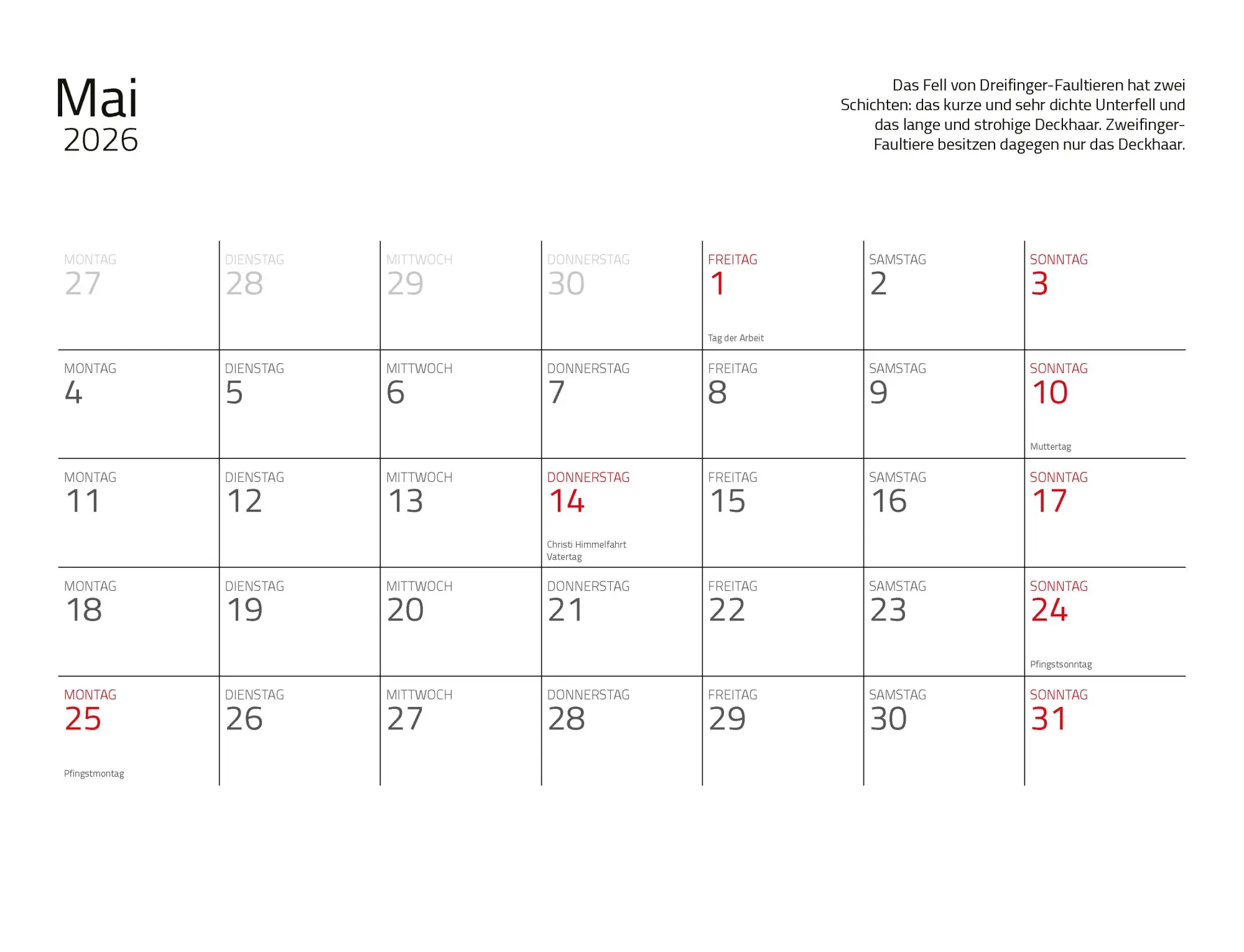 Bild: 9783966649896 | Faultiere Kalender 2026 Wandkalender | Kalender | Spiralbindung | 2026