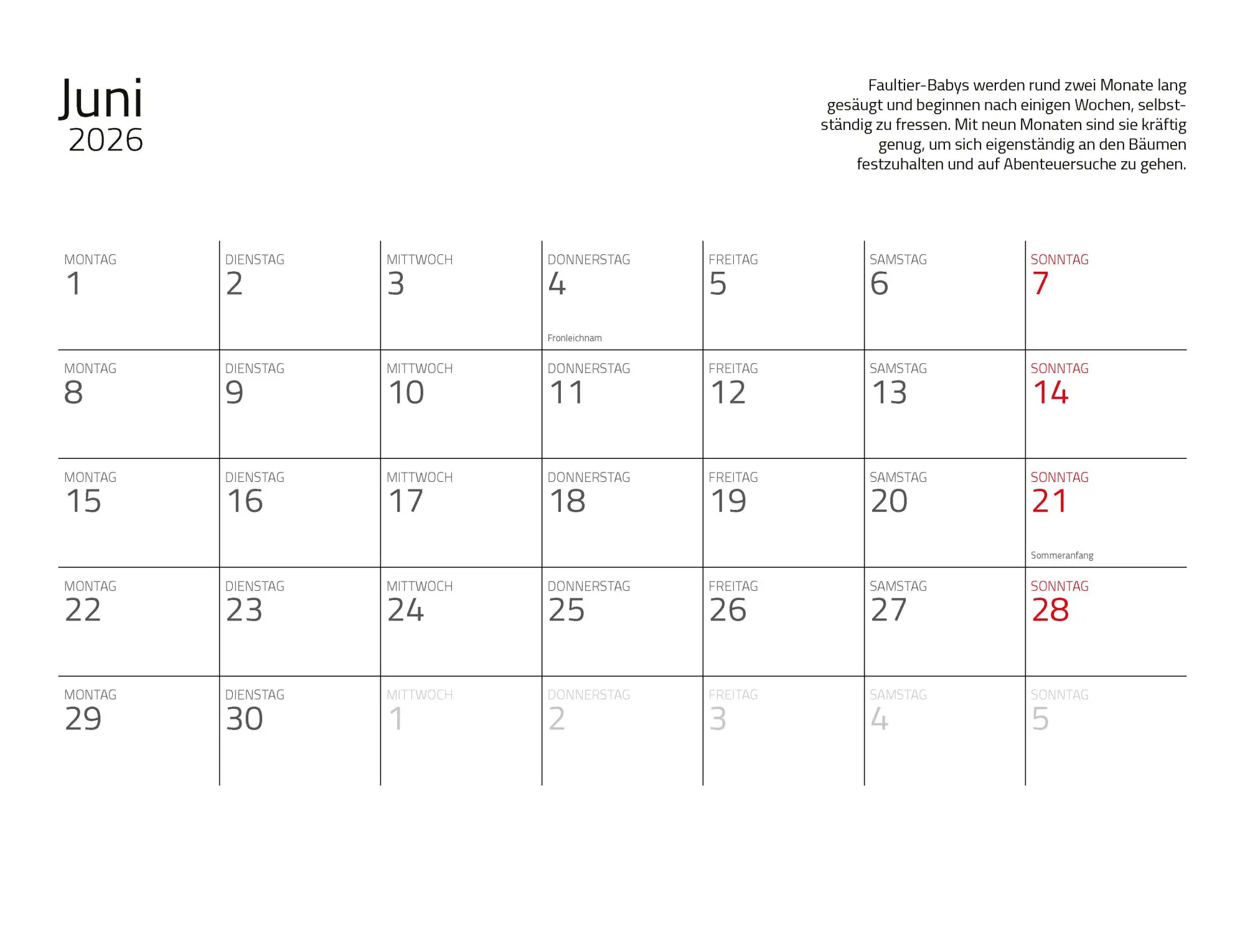 Bild: 9783966649896 | Faultiere Kalender 2026 Wandkalender | Kalender | Spiralbindung | 2026