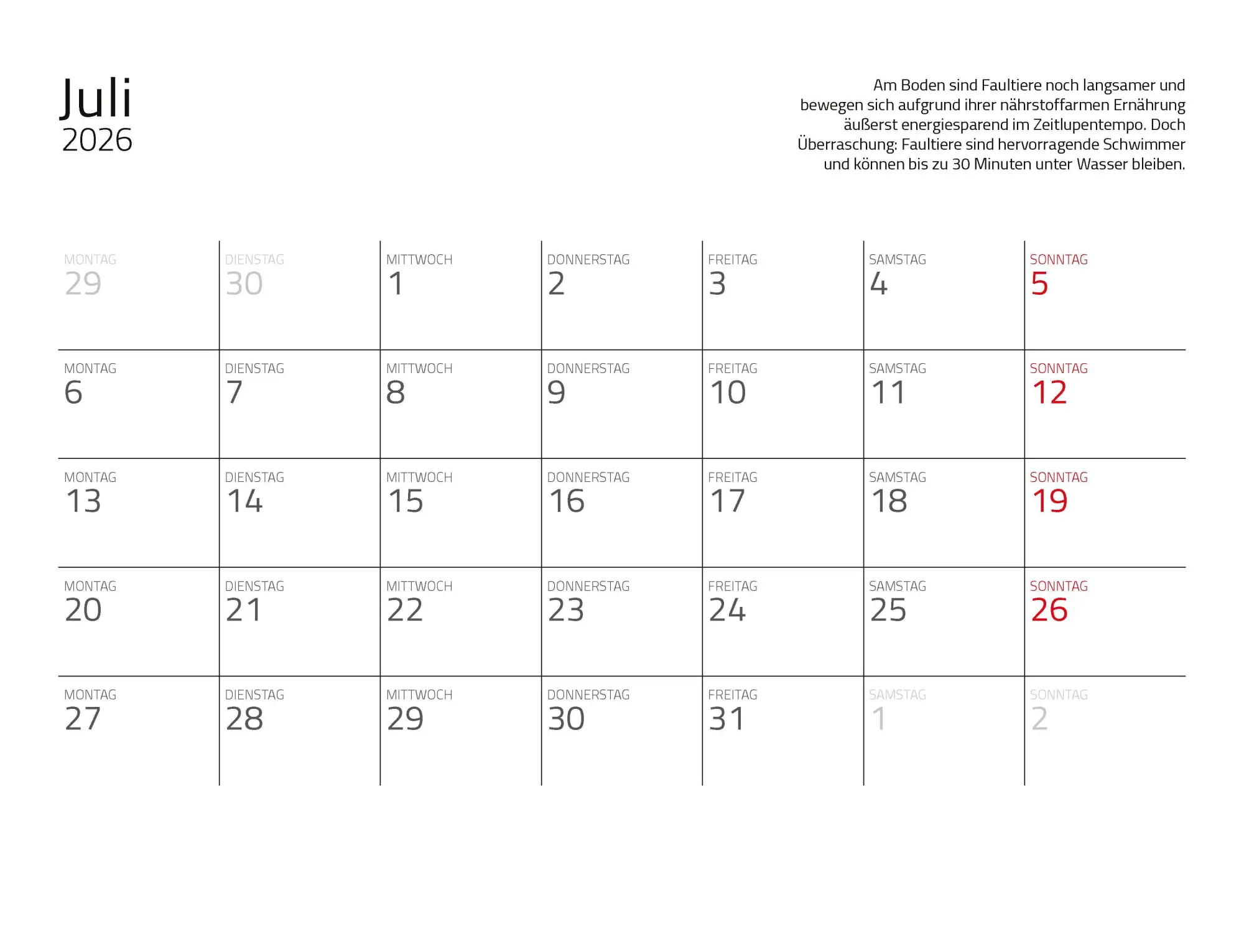 Bild: 9783966649896 | Faultiere Kalender 2026 Wandkalender | Kalender | Spiralbindung | 2026