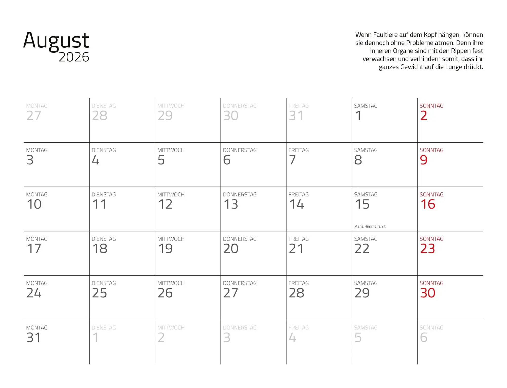 Bild: 9783966649896 | Faultiere Kalender 2026 Wandkalender | Kalender | Spiralbindung | 2026