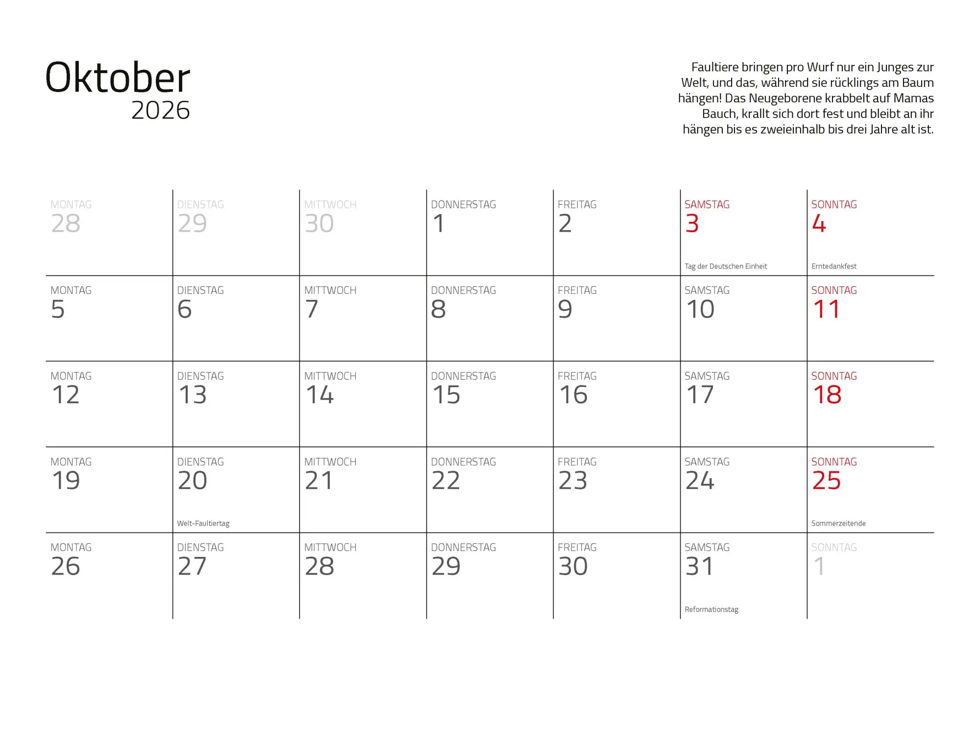 Bild: 9783966649896 | Faultiere Kalender 2026 Wandkalender | Kalender | Spiralbindung | 2026