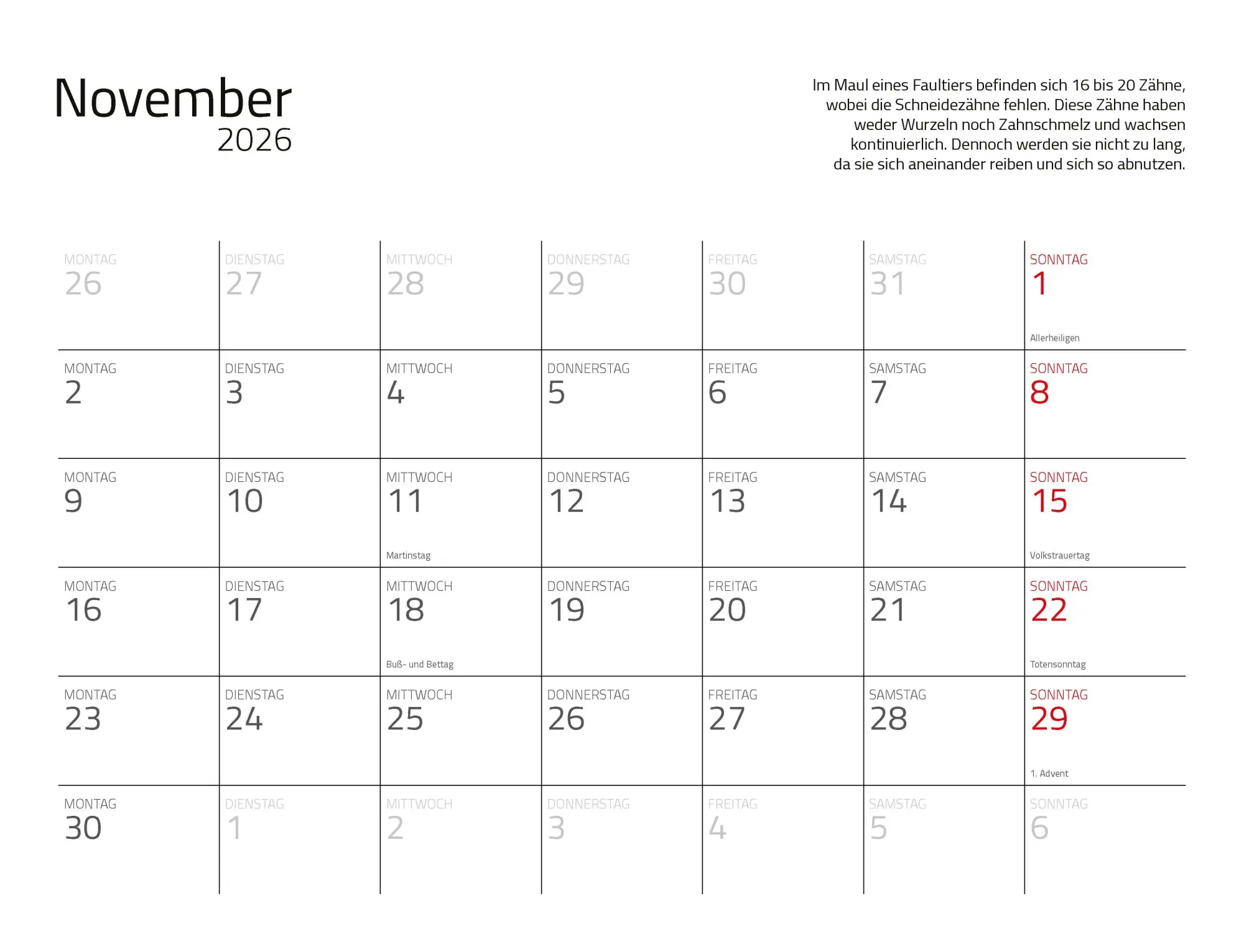 Bild: 9783966649896 | Faultiere Kalender 2026 Wandkalender | Kalender | Spiralbindung | 2026