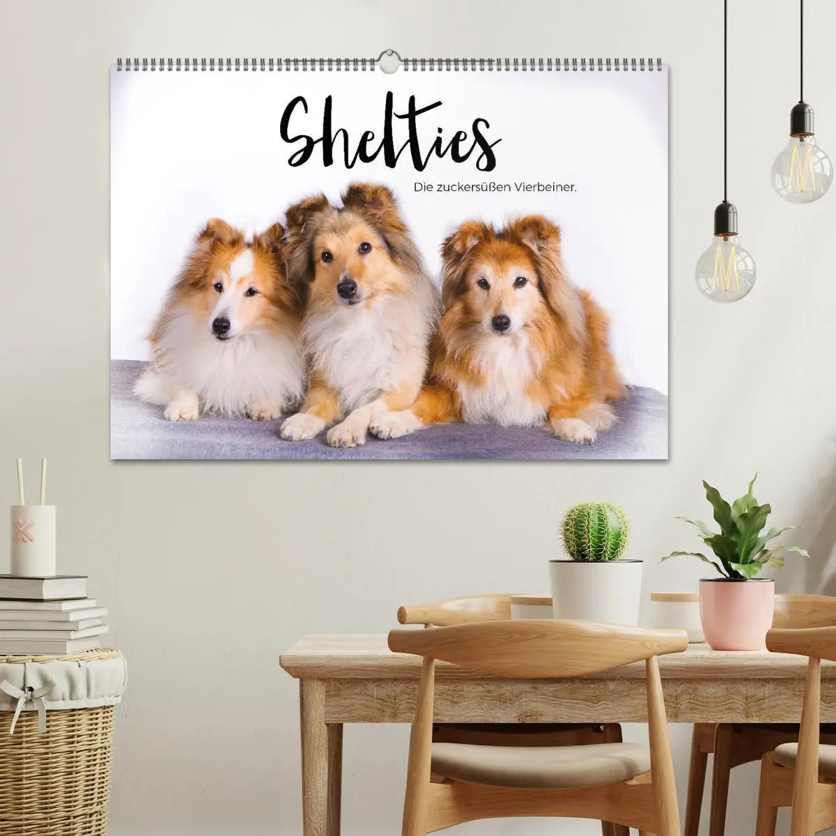 Bild: 9783457539996 | Shelties - Die zuckersüßen Vierbeiner. (Wandkalender 2026 DIN A2...