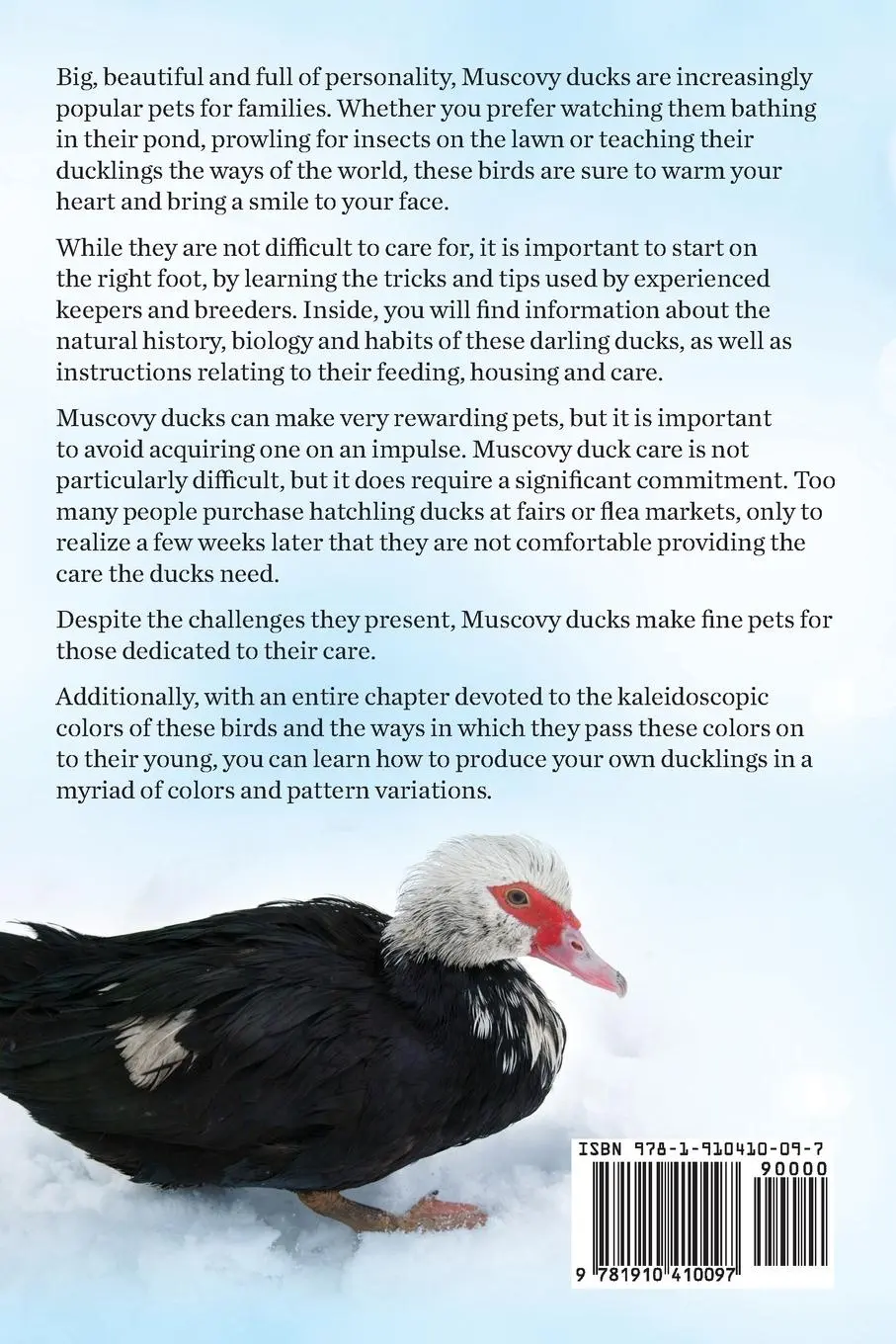 Rückseite: 9781910410097 | Muscovy Ducks as Pets. Muscovy Duck Owners Manual. Muscovy Duck...