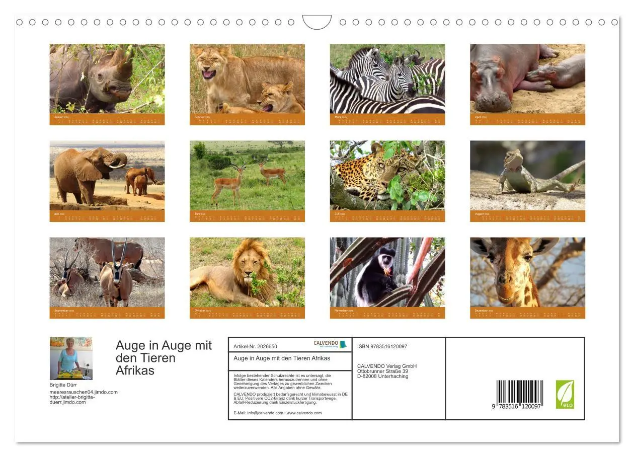 Bild: 9783516120097 | Auge in Auge mit den Tieren Afrikas (Wandkalender 2026 DIN A3...