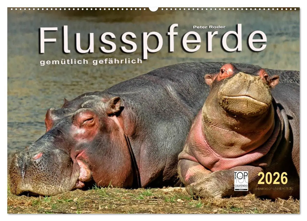 Cover: 9783457950197 | Flusspferde - gemütlich gefährlich (Wandkalender 2026 DIN A2 quer),...