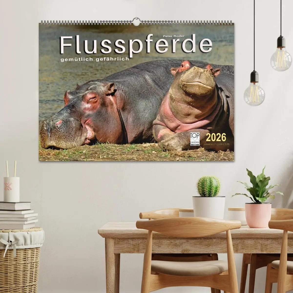 Bild: 9783457950197 | Flusspferde - gemütlich gefährlich (Wandkalender 2026 DIN A2 quer),...