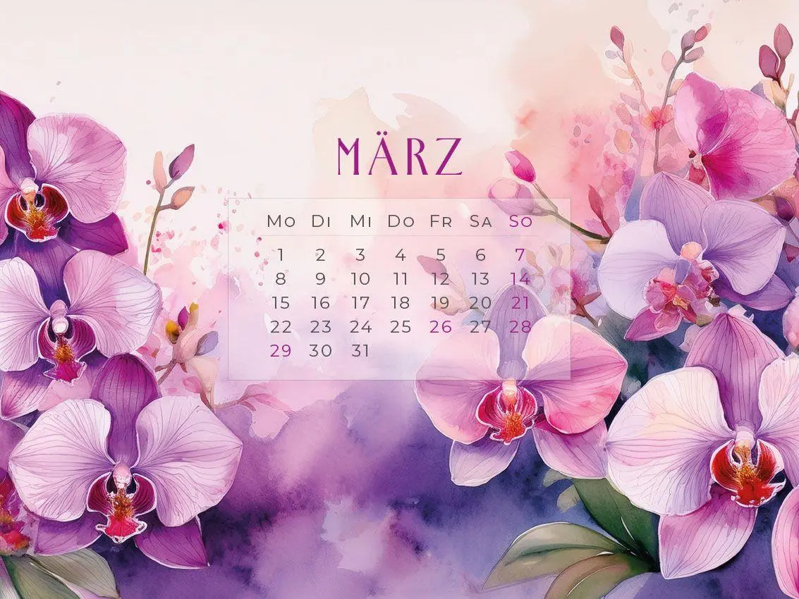 Bild: 9783693570197 | Flowers - Ein Jahr in Blüte Kalender 2027 | Susanne Pommer (u. a.)