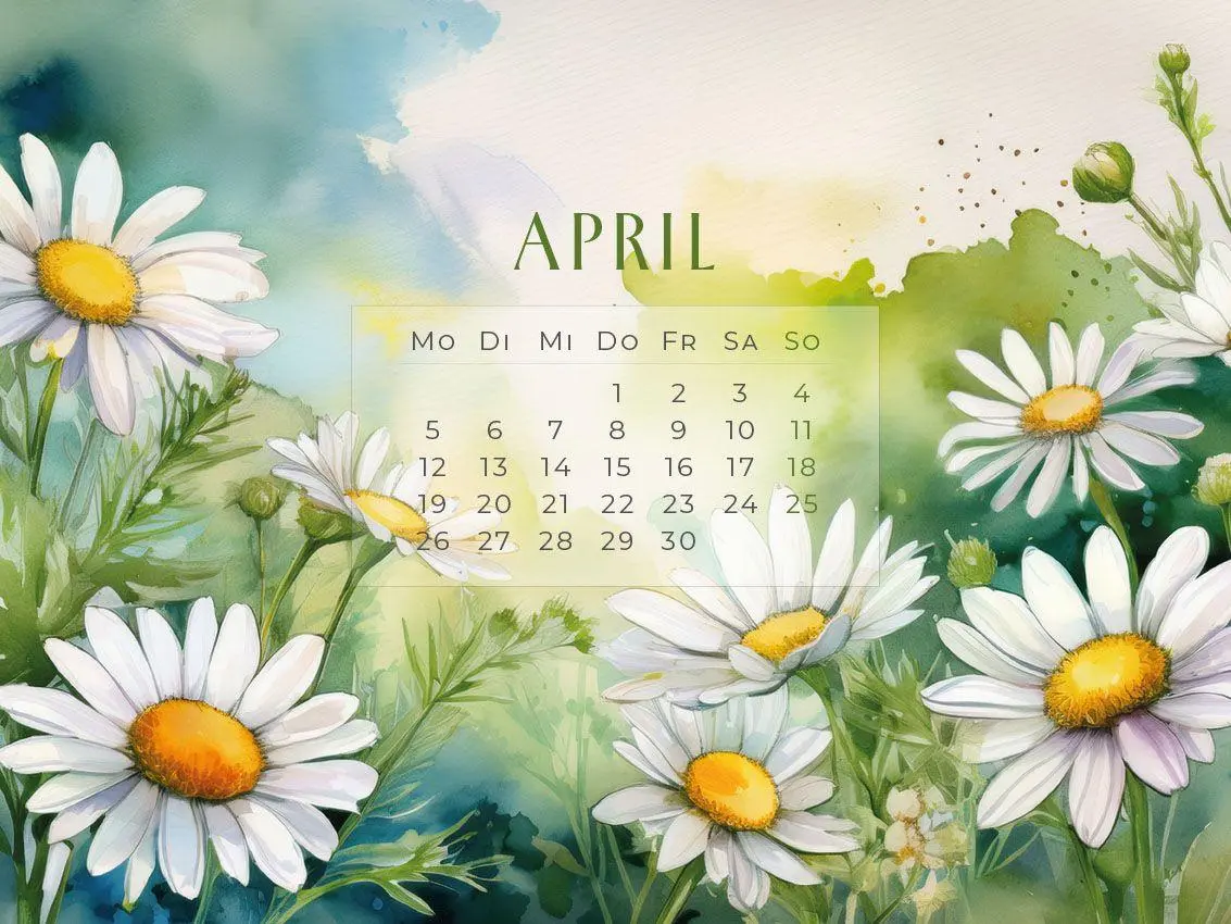 Bild: 9783693570197 | Flowers - Ein Jahr in Blüte Kalender 2027 | Susanne Pommer (u. a.)