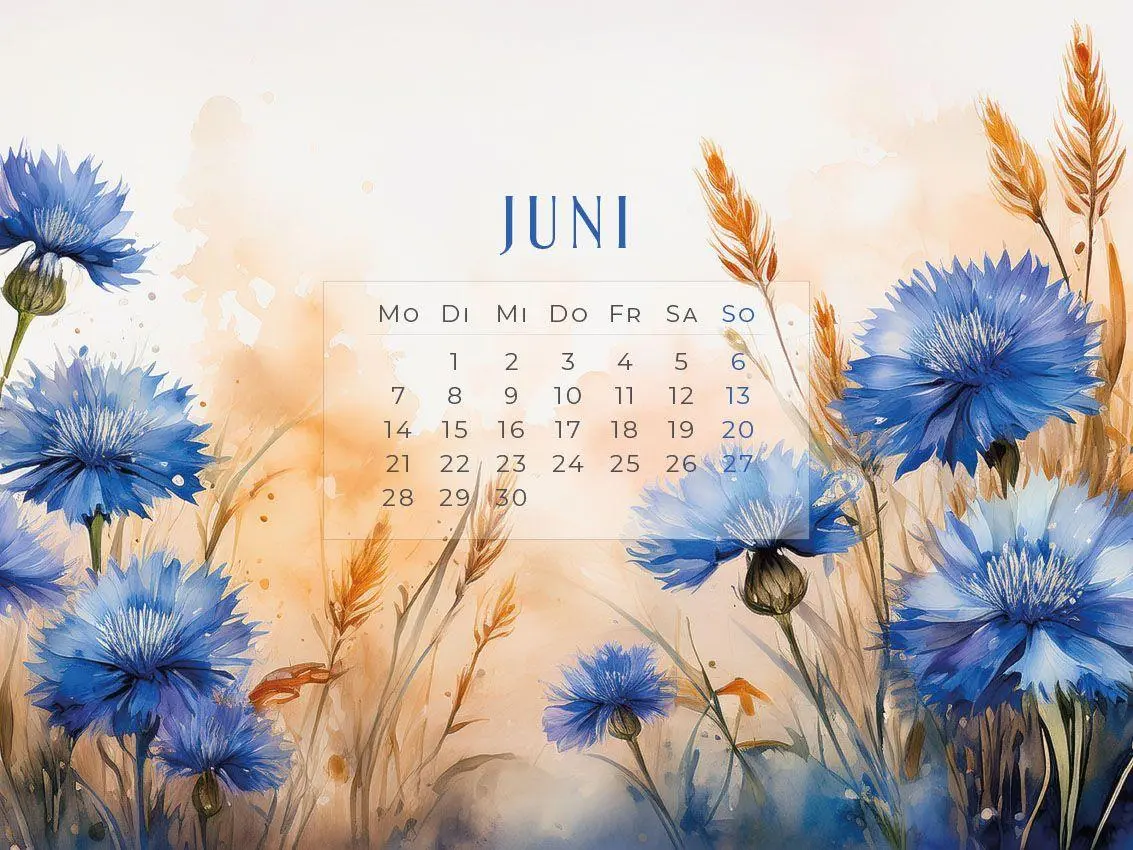 Bild: 9783693570197 | Flowers - Ein Jahr in Blüte Kalender 2027 | Susanne Pommer (u. a.)
