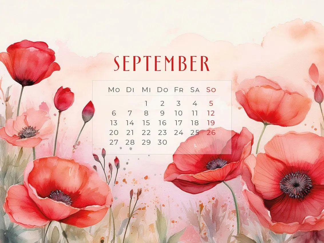 Bild: 9783693570197 | Flowers - Ein Jahr in Blüte Kalender 2027 | Susanne Pommer (u. a.)