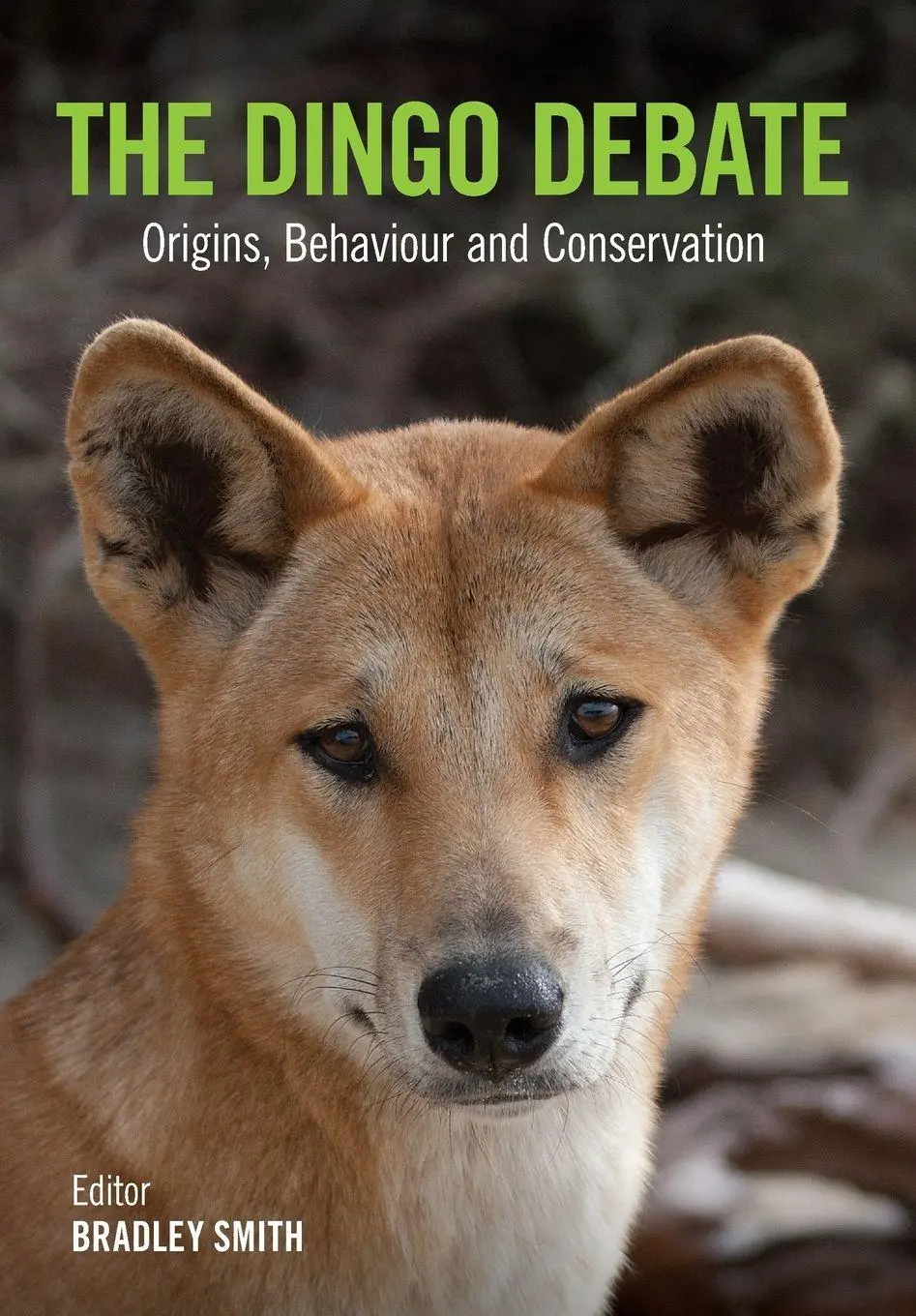 Cover: 9781486300297 | The Dingo Debate | Origins, Behaviour and Conservation | Bradley Smith