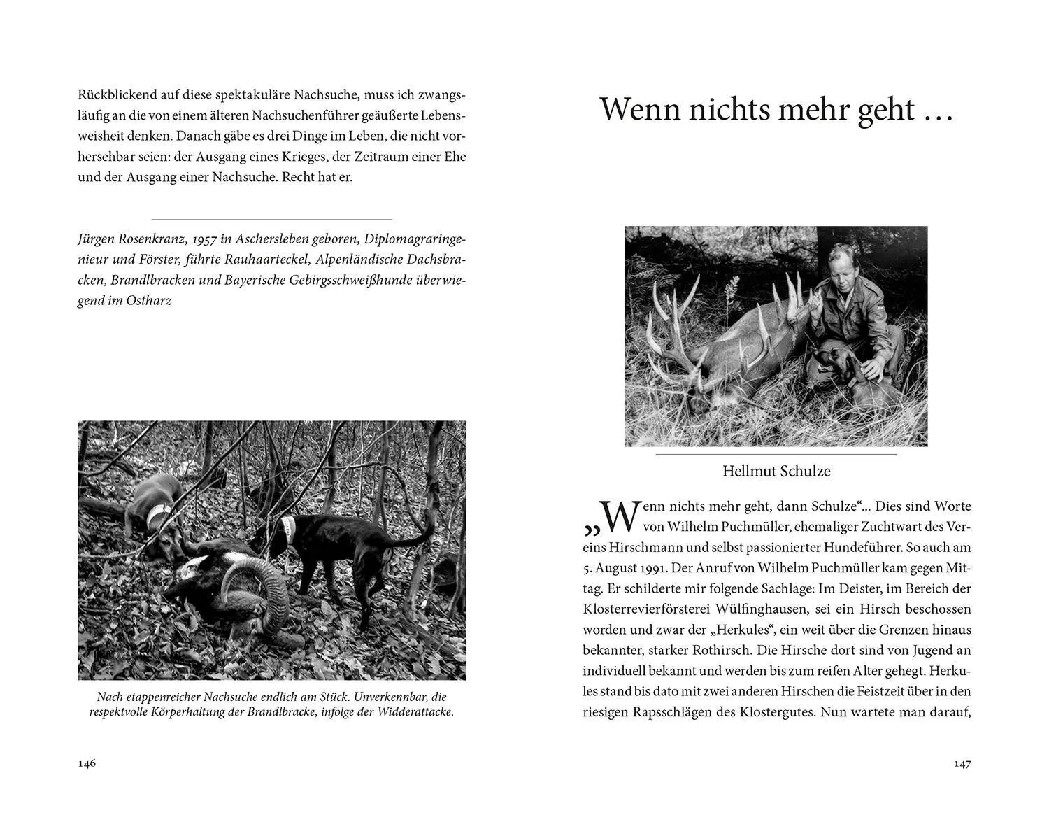 Bild: 9783440180297 | Auf der Nachsuche | Frank Rakow | Buch | 168 S. | Deutsch | 2024