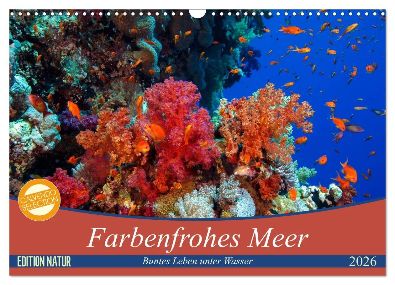 Cover: 9783457940297 | Farbenfrohes Meer (Wandkalender 2026 DIN A3 quer), CALVENDO...