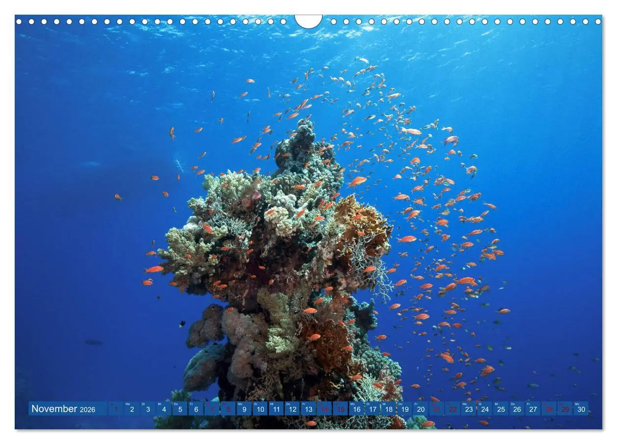 Bild: 9783457940297 | Farbenfrohes Meer (Wandkalender 2026 DIN A3 quer), CALVENDO...