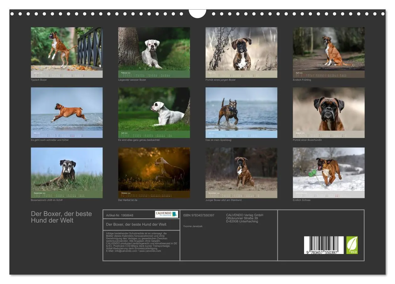 Bild: 9783457550397 | Der Boxer, der beste Hund der Welt (Wandkalender 2026 DIN A3 quer),...