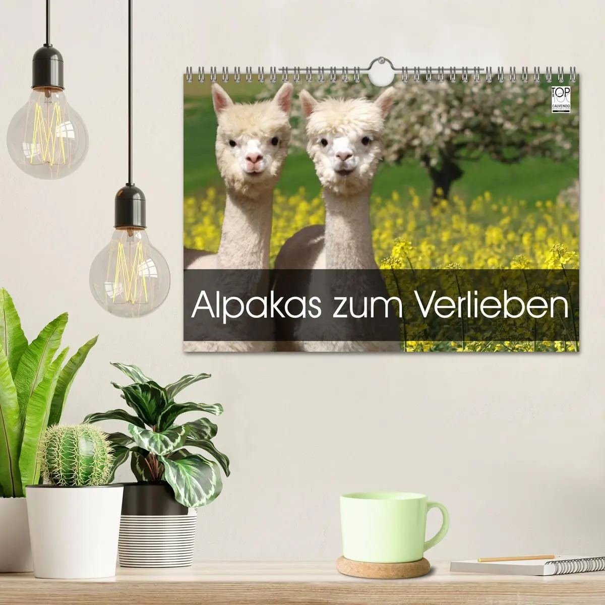Bild: 9783516020397 | Alpakas zum Verlieben (Wandkalender 2026 DIN A4 quer), CALVENDO...
