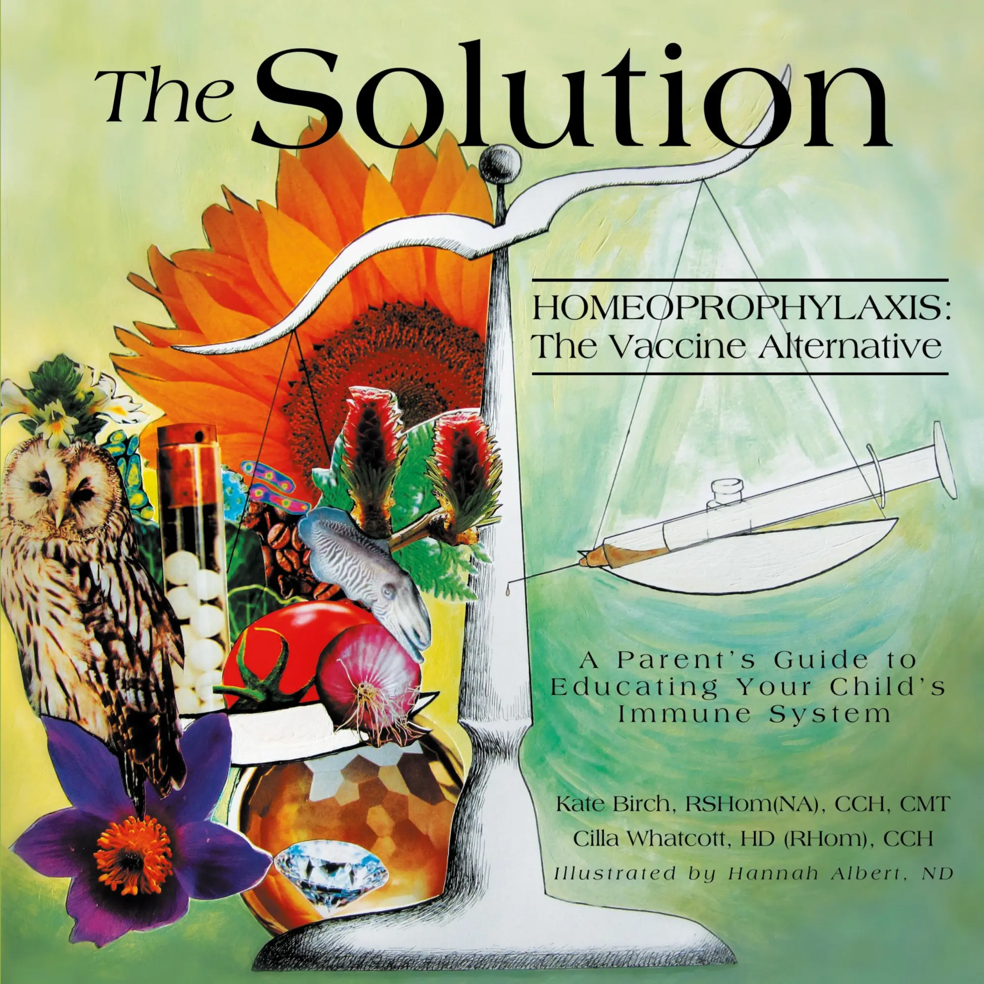 Cover: 9781452550497 | The Solution | Homeoprophylaxis: The Vaccine Alternative | Taschenbuch