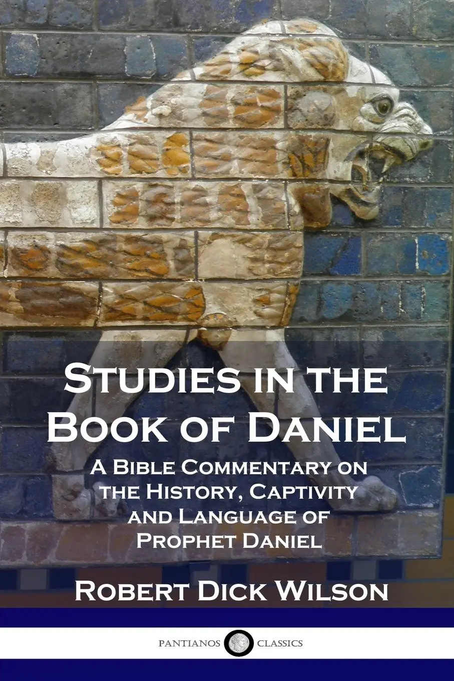 Cover: 9781789870497 | Studies in the Book of Daniel | Robert Dick Wilson | Taschenbuch