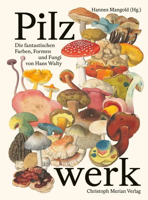 Cover: 9783039690497 | Pilzwerk | Die fantastischen Farben, Formen und Fungi von Hans Walty