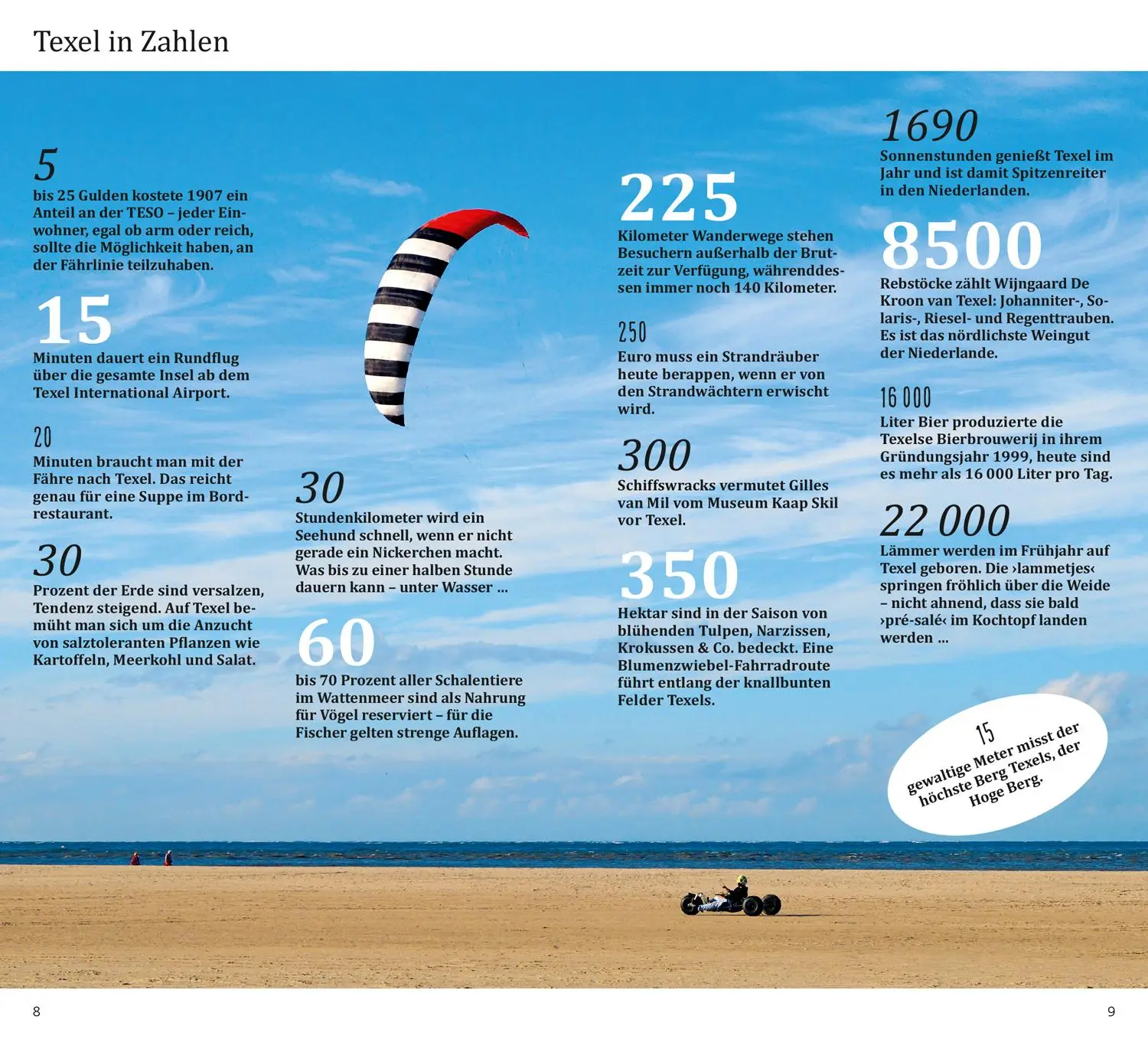 Bild: 9783616000497 | DUMONT direkt Reiseführer Texel | Mit großem Faltplan | Susanne Völler