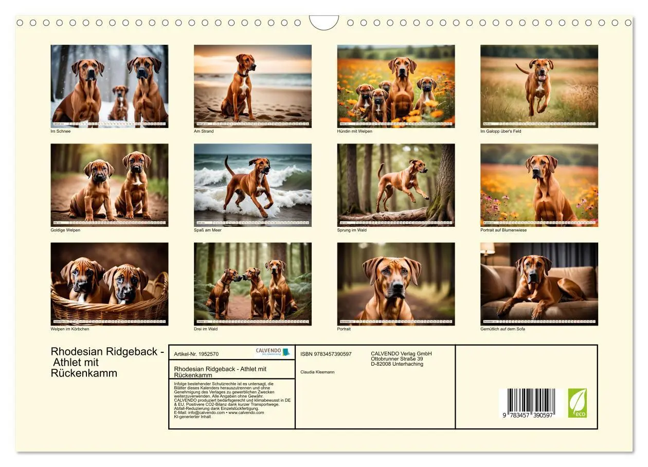 Bild: 9783457390597 | Rhodesian Ridgeback - Athlet mit Rückenkamm (Wandkalender 2026 DIN...