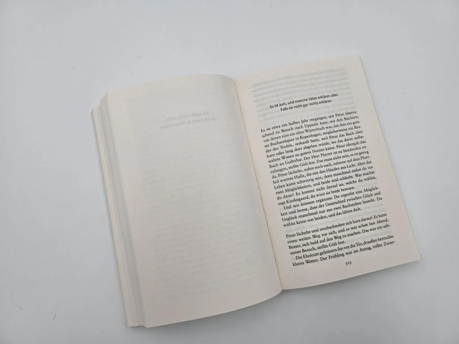 Bild: 9783492320597 | Dein Fortsein ist Finsternis | Roman Island-Roman | Stefánsson | Buch